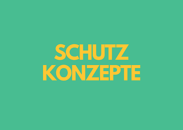 Icon Schutzschild