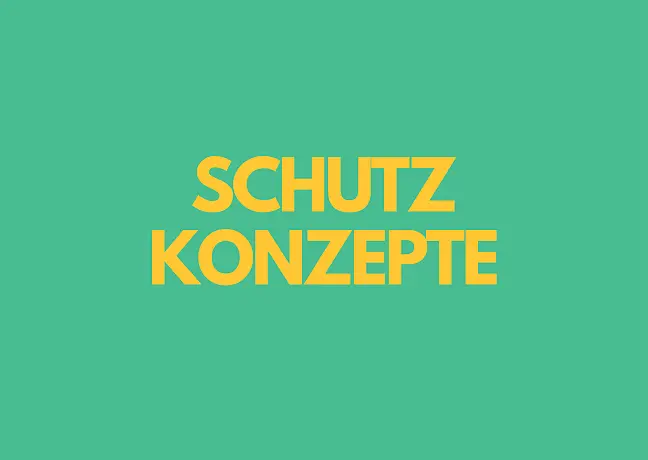 Icon Schutzschild