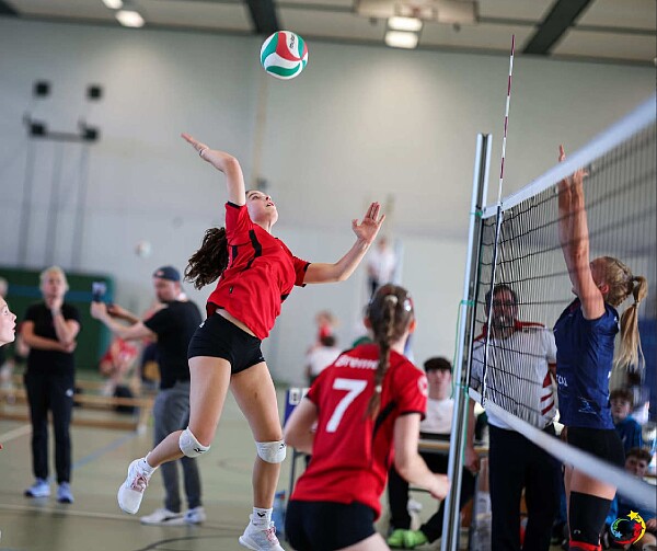 Volleyballer*innen beim Bundesfinale Jugend trainiert für Olympia