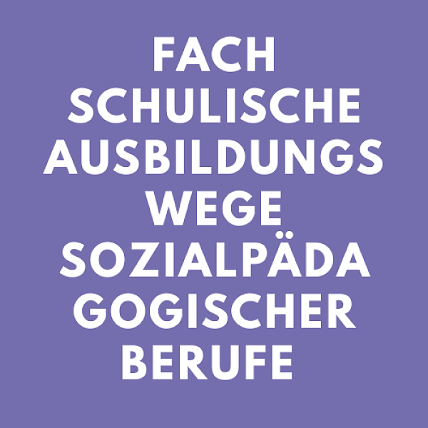 Fachschulische Ausbildungswege sozialpädagogischer Berufe 