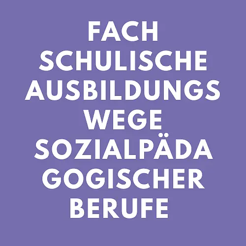 Fachschulische Ausbildungswege sozialpädagogischer Berufe 